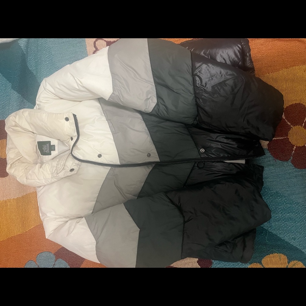 Wildfable Black, White, and Grey Winter Puffer Jacket